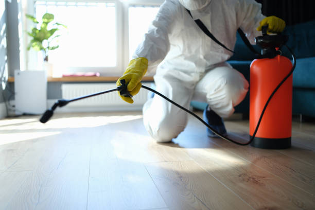 Reliable Blood Cleanup contractor in Point Reyes Station, CA by Trauma Clean Pros